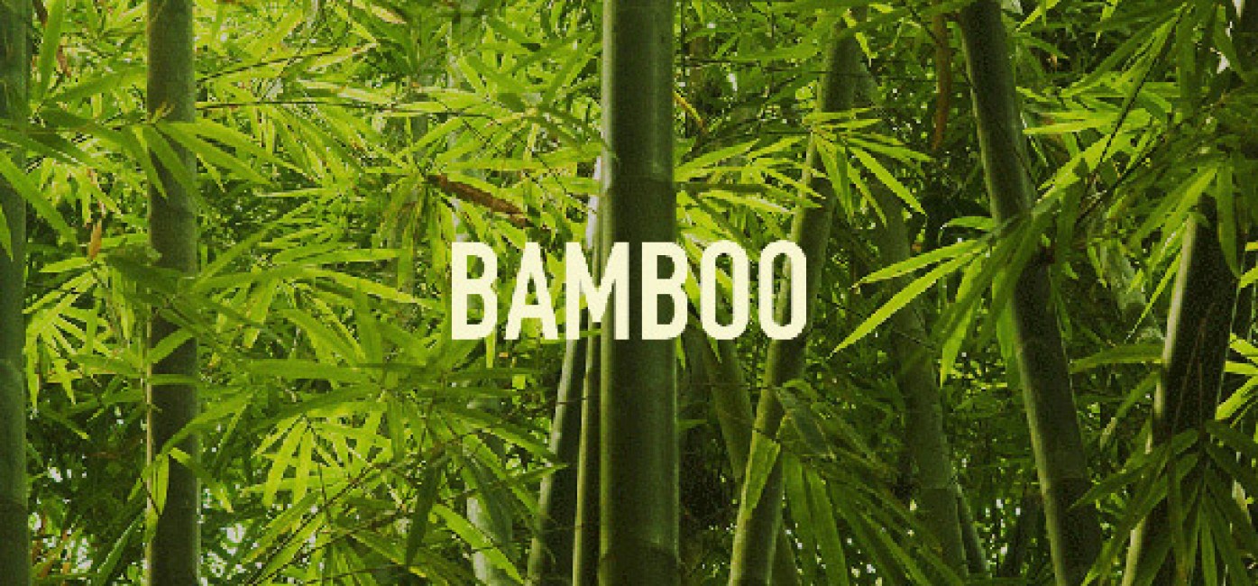 Bambu İç Giyim Bambu İç Giyim