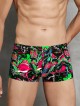 Imprime Modal Kısa Boxer Imprime Modal Kısa Boxer