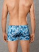 Doreanse Ocean Waves Boxer Doreanse Ocean Waves Boxer