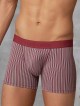 Doreanse Modal Imprime Collection Erkek Boxer Doreanse Modal Imprime Collection Erkek Boxer