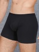 Normal Paça Erkek Termal Boxer Normal Paça Erkek Termal Boxer