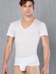 Doreanse Cotton Premium T-Shirt Doreanse Cotton Premium T-Shirt