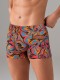 Doreanse 1731 Ebru Desenli Pamuklu Boxer Doreanse 1731 Ebru Desenli Pamuklu Boxer
