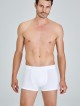 Kom COLIN 2 li Boxer Kom COLIN 2 li Boxer