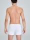 Kom MADRID Boxer Kom MADRID Boxer