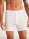 Kom LEGEND Çift Düğmeli Modal Uzun Boxer Kom LEGEND Çift Düğmeli Modal Uzun Boxer