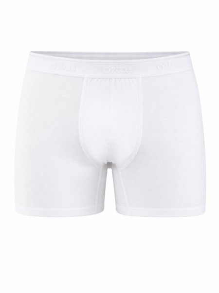 Öztaş 1718-A Erkek Büyük Beden Likralı Boxer Renkli