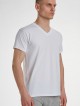 Pamuk Modal Likralı Kısa Kol T-Shirt Pamuk Modal Likralı Kısa Kol T-Shirt